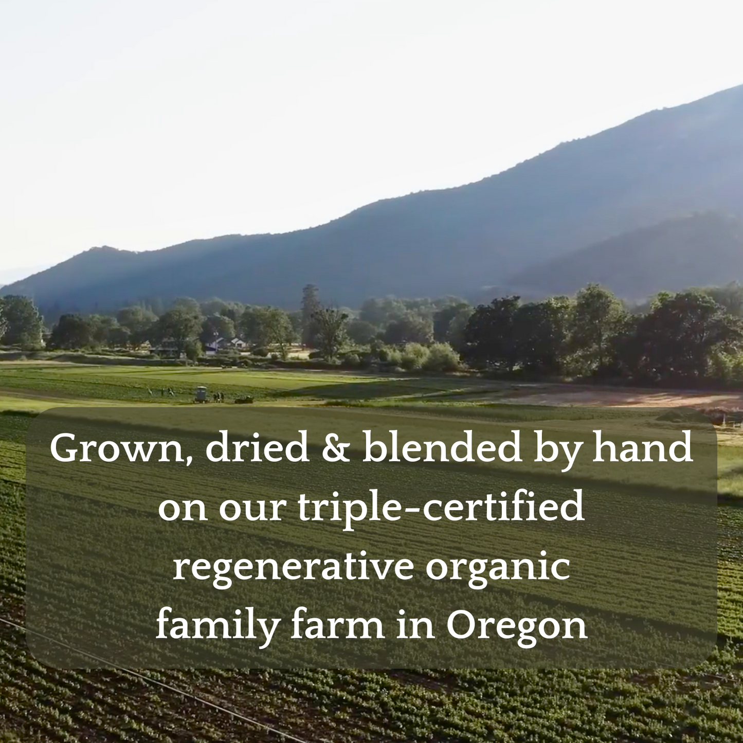 Symphony: Comprehensive Menopause Relief From Organic Teas Handmade On USA Regenerative Farms