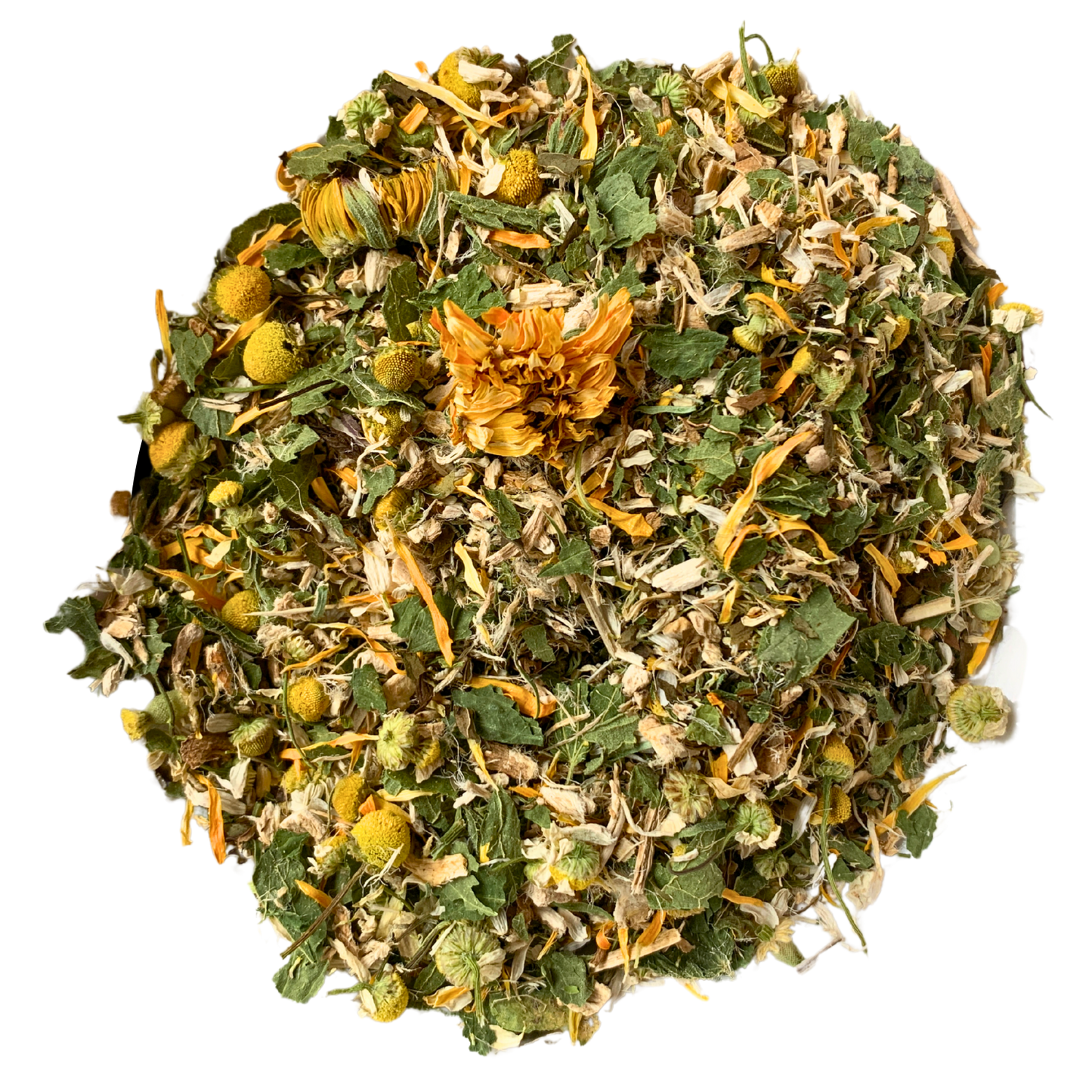 Harvest: Digestion & Meal Time