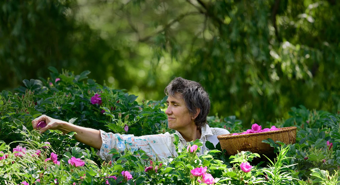 Organic Skin Care Handmade Since 1985 On Maine's First Biodynamic Farm