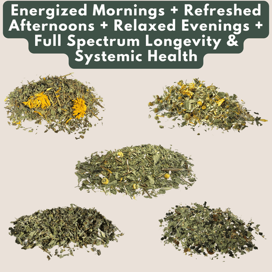 Wilsala Complete Care