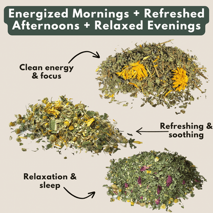 Wilsala Daily Ritual