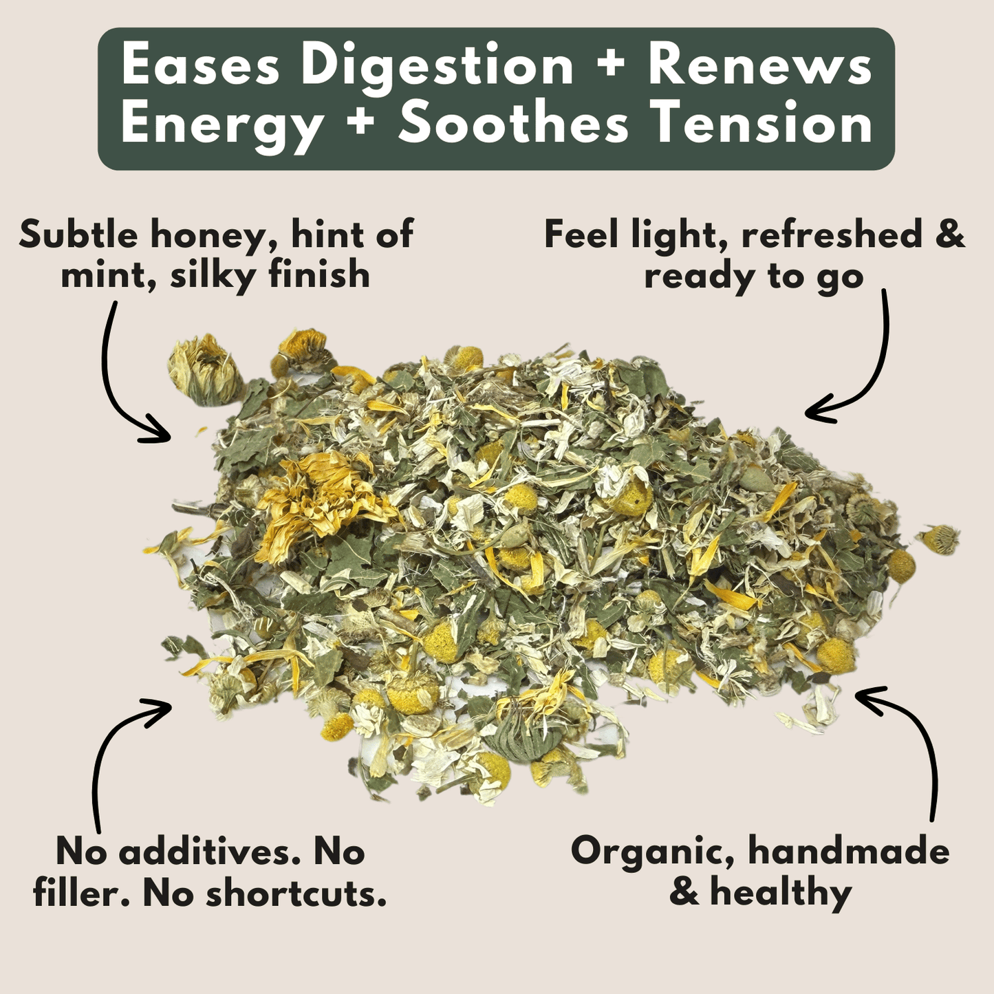 The Wilsala Daily Ritual