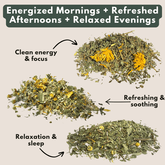 The Wilsala Daily Ritual