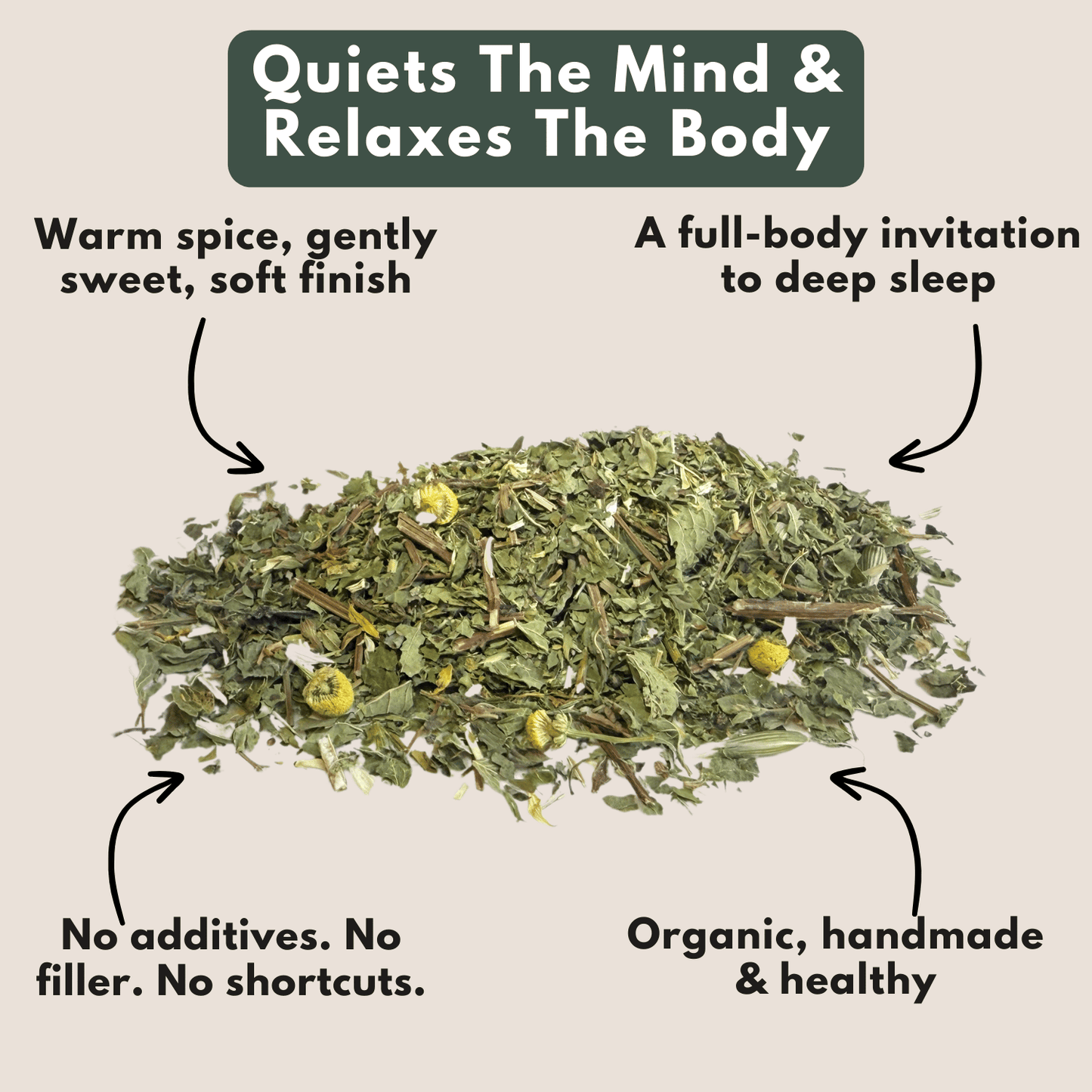 The Wilsala Daily Ritual