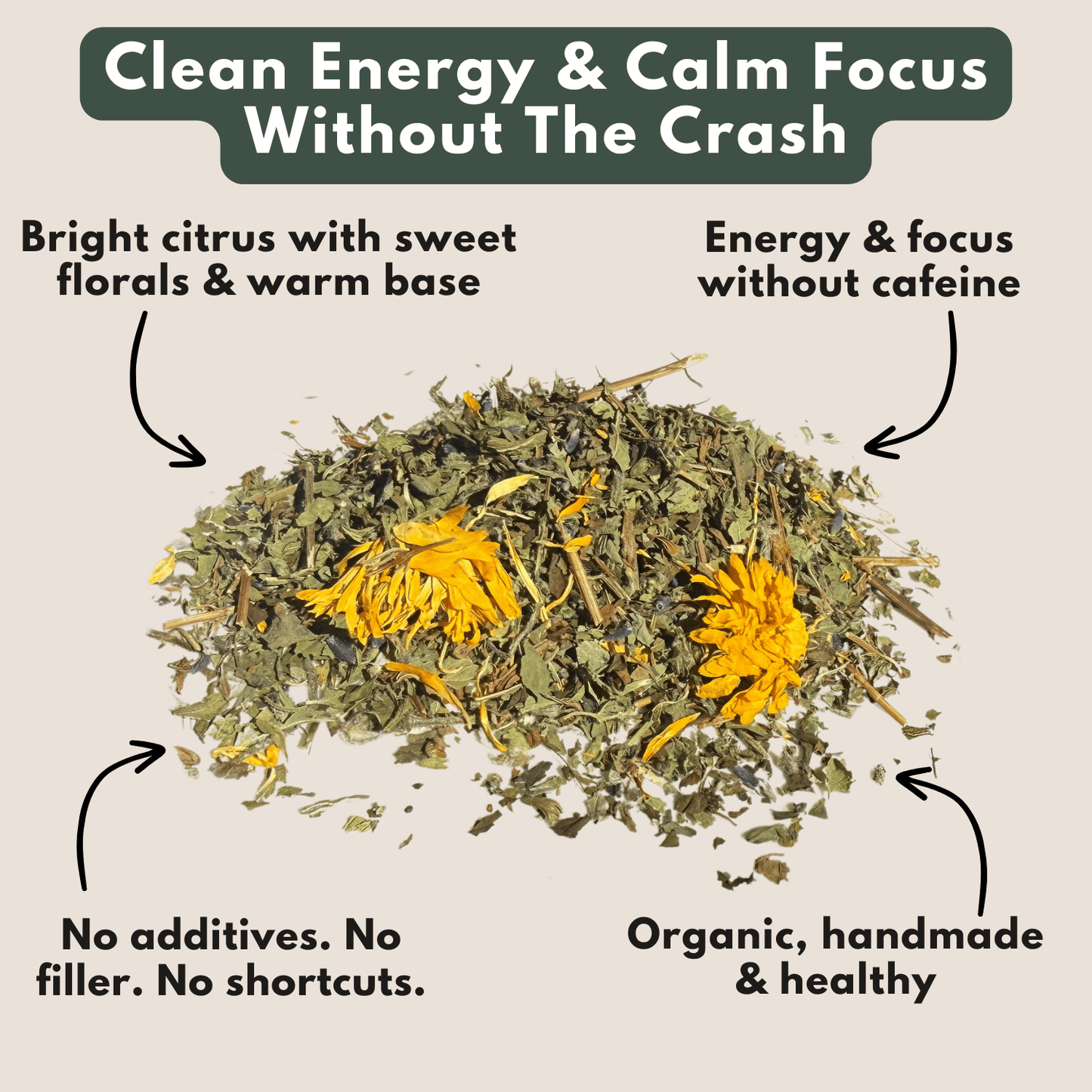 The Wilsala Daily Ritual