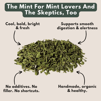 New! Sampler Set of Best Sellers