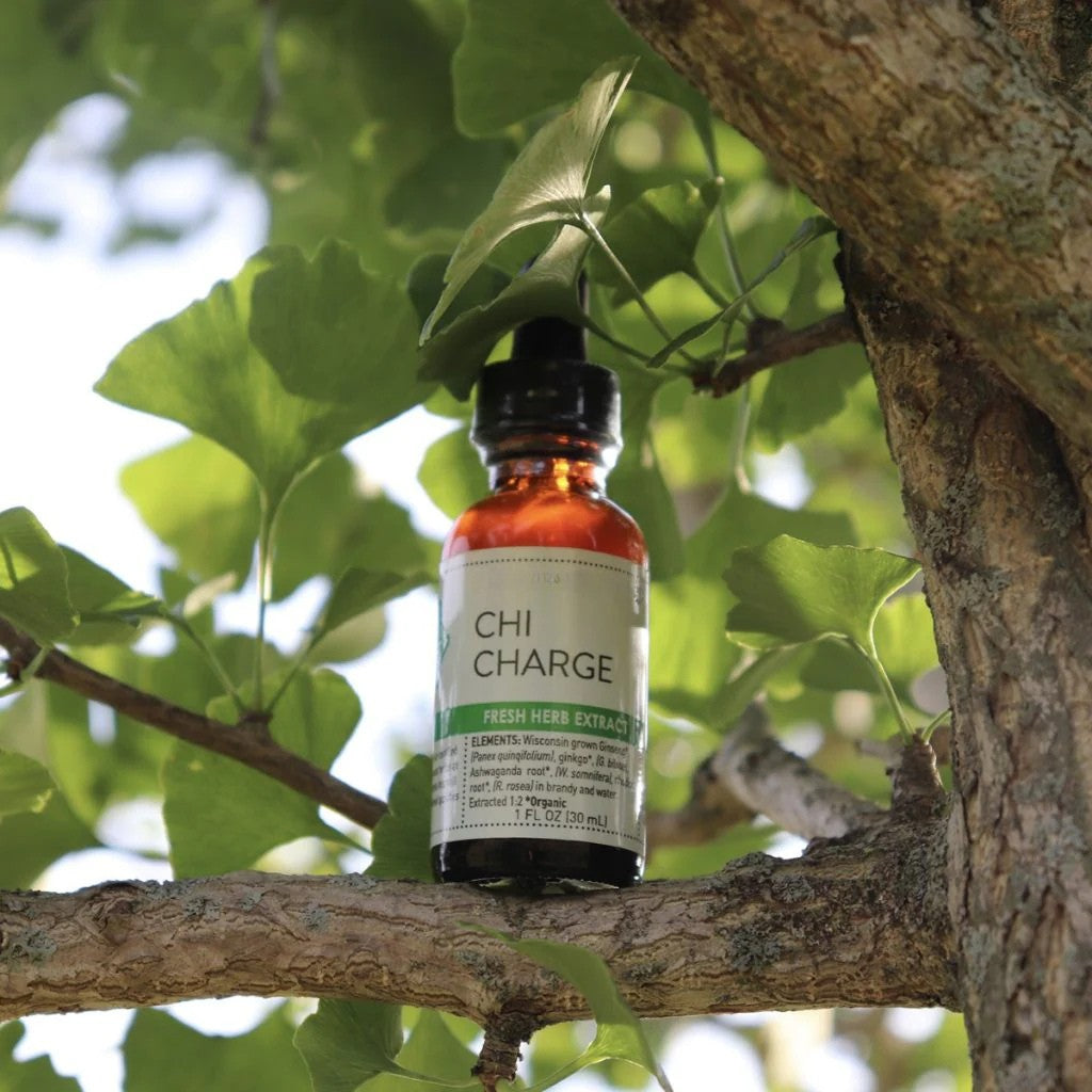 Energy & Focus Booster: Chi Charge
