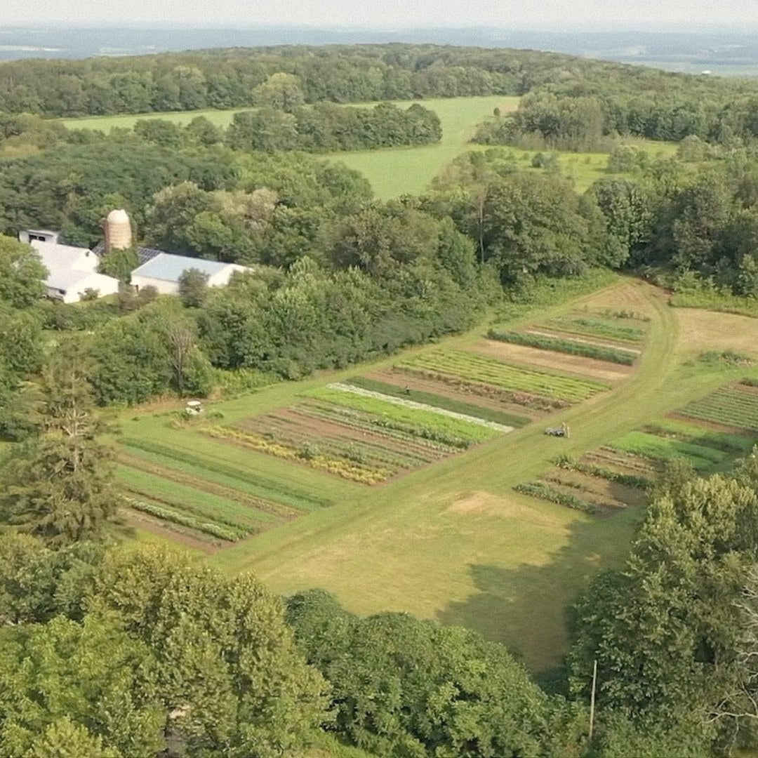 Aerial view of herb rows on a small organic farm in Wisconsin, ringed by forest